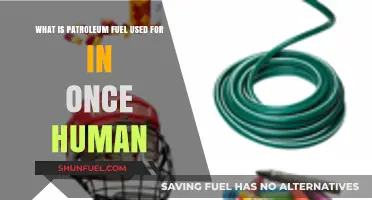 Petroleum Fuel's Role in Human History and Daily Life Explained