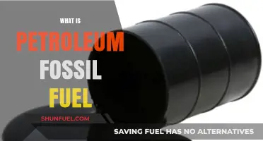 Understanding Petroleum: The Origins and Impact of Fossil Fuel