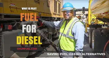 The Power of Pilot Fuel for Diesel Engines
