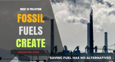 Fossil Fuels: Understanding Their Pollution Impact