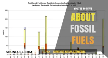 Fossil Fuels' Surprising Benefits: Energy, Economy, and Modern Life