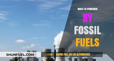 Fossil Fuels Powering Industries, Transportation, and Daily Life Explained