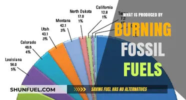 Burning Fossil Fuels: Emissions, Energy, and Environmental Impacts Explained