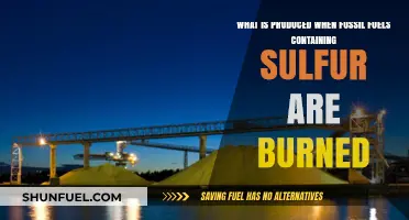 Sulfur in Fossil Fuels: Burning Impacts and Acid Rain Formation