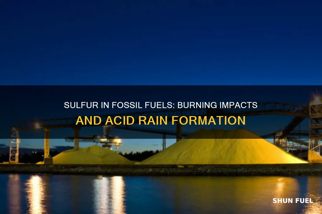 what is produced when fossil fuels containing sulfur are burned