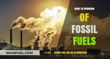 Understanding the Process of Fossil Fuel Production and Its Impact