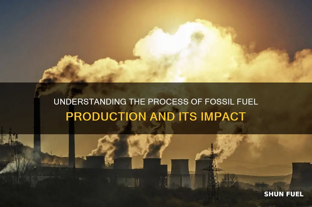 what is produion of fossil fuels