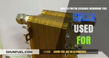 Proton Exchange Membrane Fuel Cells: Applications and Uses Explained