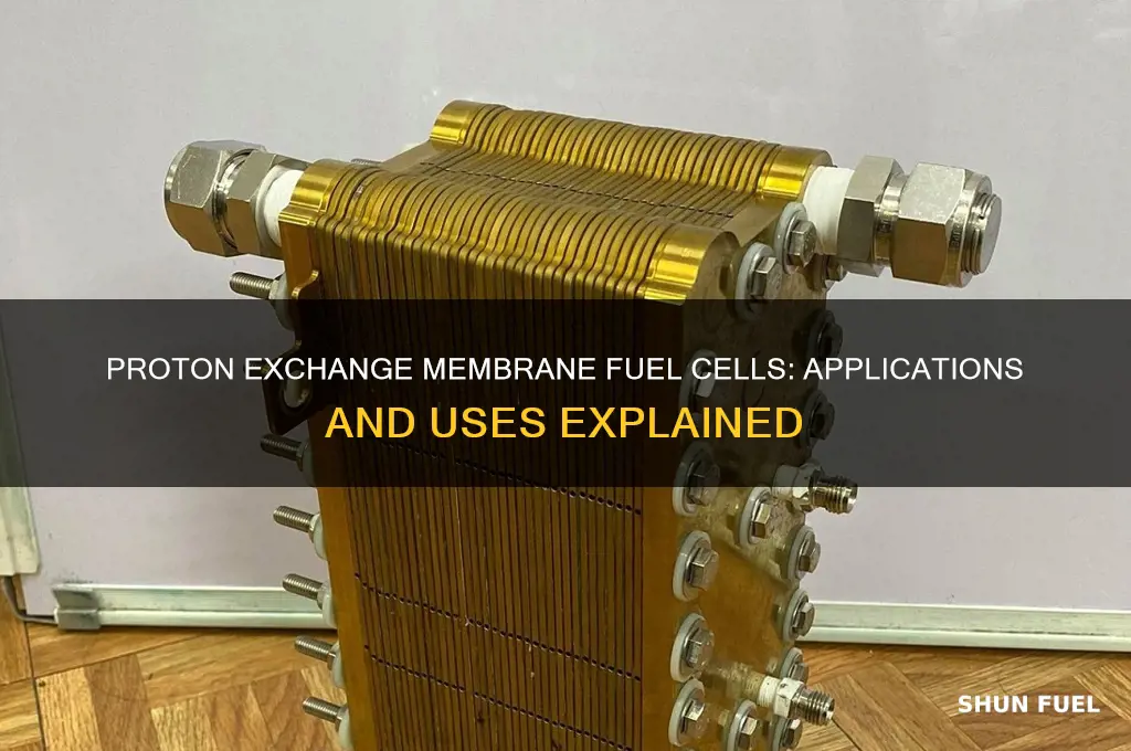 what is proton exchange membrane fuel cells used for