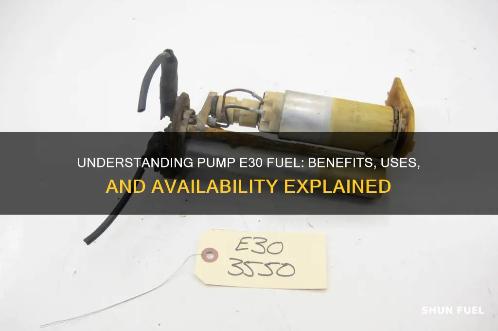 what is pump e30 fuel