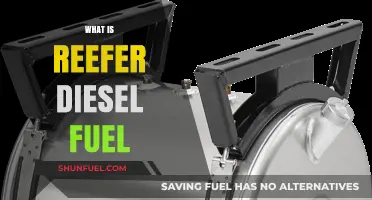 Reefer Diesel Fuel: Powering Cold Chains