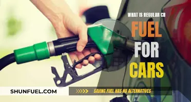 The Evolution of Regular CR Fuel for Cars