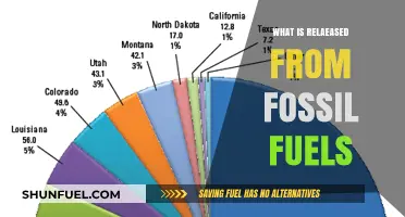 Fossil Fuels' Emissions: Unveiling the Hidden Environmental Impact