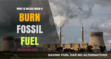 Burning Fossil Fuels: Unveiling the Emissions and Environmental Impact
