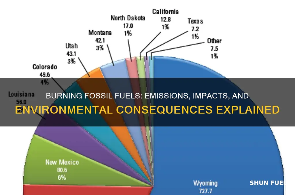what is released by burning fossil fuels