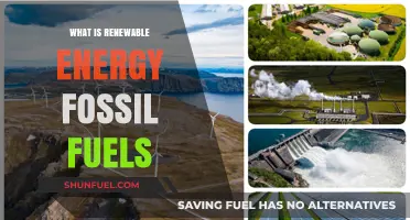 Renewable Energy vs. Fossil Fuels: Understanding the Sustainable Shift