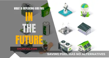 The Future of Fuel: What's Next?