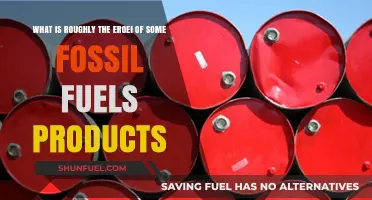 Exploring the EROI of Fossil Fuels: Energy Returns Unveiled