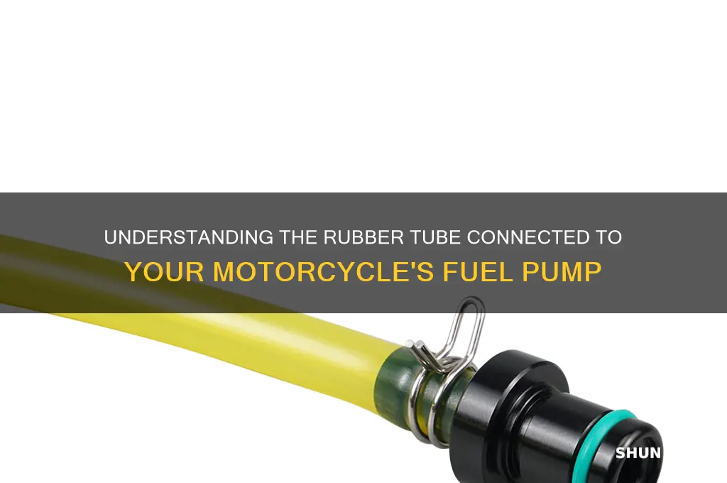 what is rubber tube coming off of fuel pump motorcycle