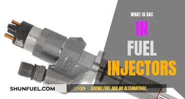 Understanding the Role of Fuel Injector SACs