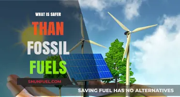 Clean Energy Alternatives: Safer, Sustainable Solutions Beyond Fossil Fuels