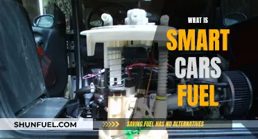 Smart Cars: Fuel of the Future?