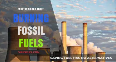 The Hidden Dangers of Burning Fossil Fuels: A Critical Analysis