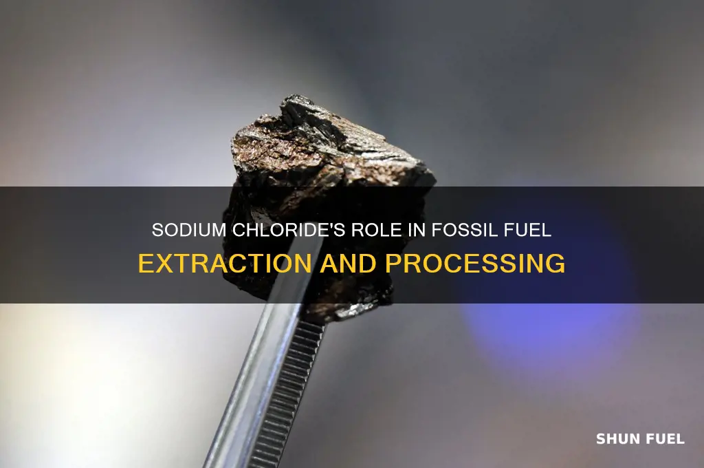 what is sodium chloride fossil fuels