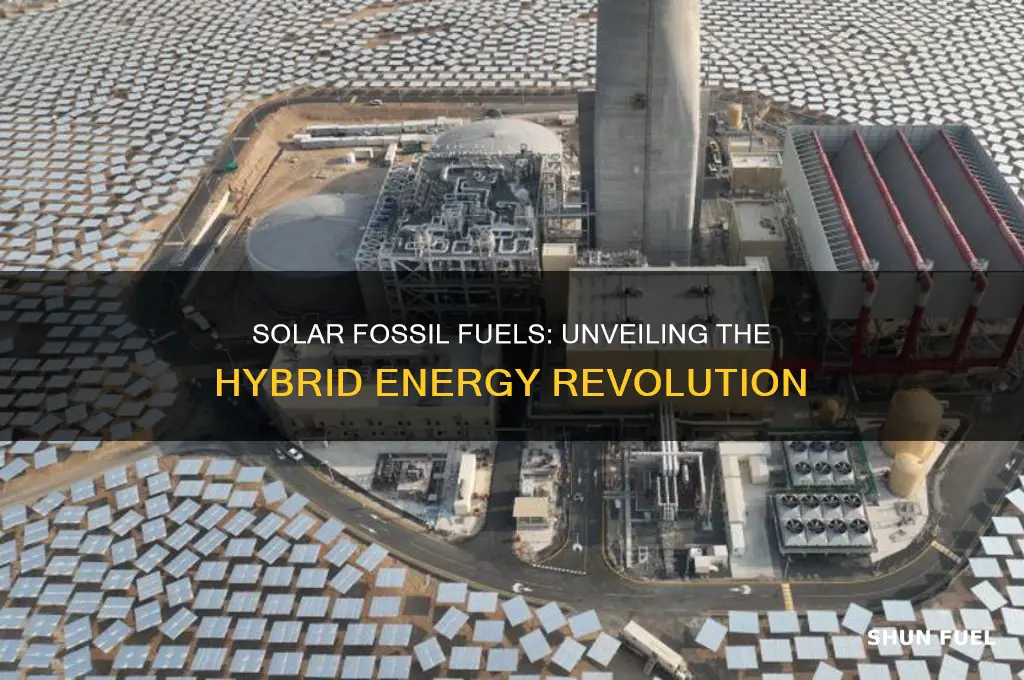 what is solar fossil fuels