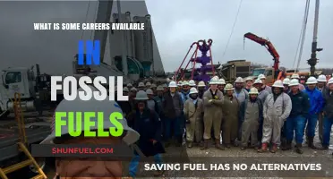 Exploring Diverse Career Paths in the Fossil Fuel Industry