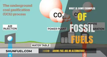 Exploring Fossil Fuels: Examples and Their Impact on Energy