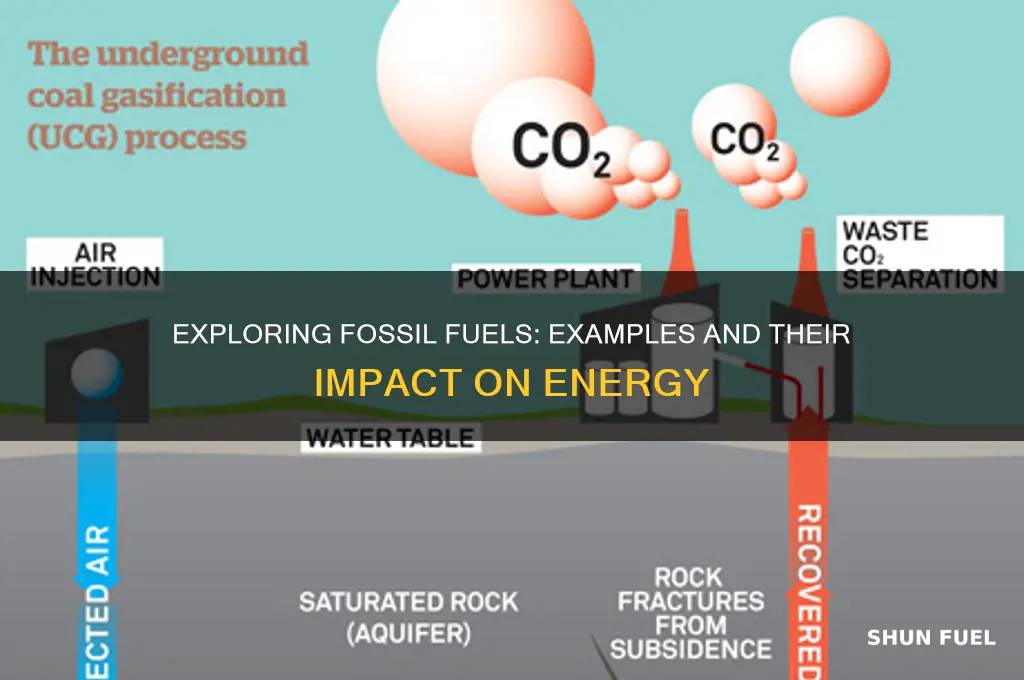 what is some examples of fossil fuels