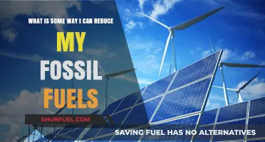Cutting Carbon Footprint: Practical Ways to Reduce Fossil Fuel Use