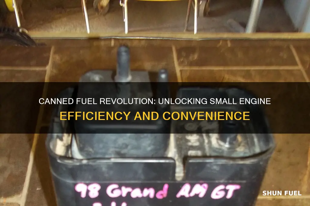 what is special about canned fuel for small engines
