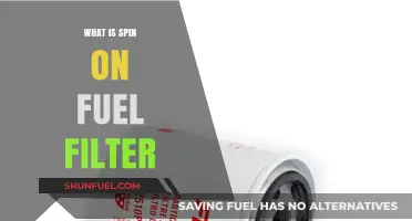 Fuel Filter Spin: What's the Point?