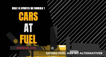 The Mystery Spray: Formula 1's Fuel Secret