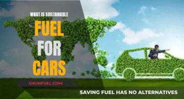 The Future of Cars: Sustainable Fuel Options Explored