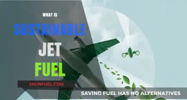 Sustainable Jet Fuel: The Eco-Friendly Future of Air Travel Explained