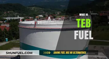 Exploring the Future of Energy: What is TEB Fuel?