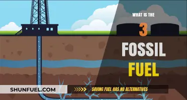 Understanding the Three Primary Fossil Fuels: Coal, Oil, and Gas