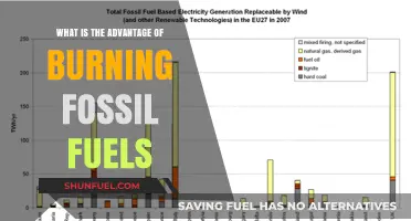 Burning Fossil Fuels: Uncovering the Pros and Hidden Benefits