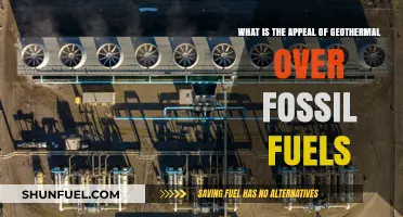 Geothermal Energy: A Sustainable, Clean Alternative to Fossil Fuels