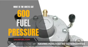 Arctic Cat 600: Understanding Fuel Pressure Performance