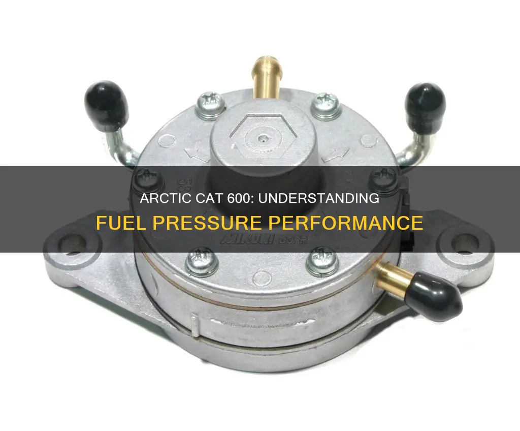 what is the arctic cat 600 fuel pressure