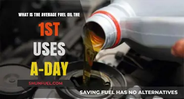 Daily Fuel Oil Consumption of the 1st: Average Usage Explained
