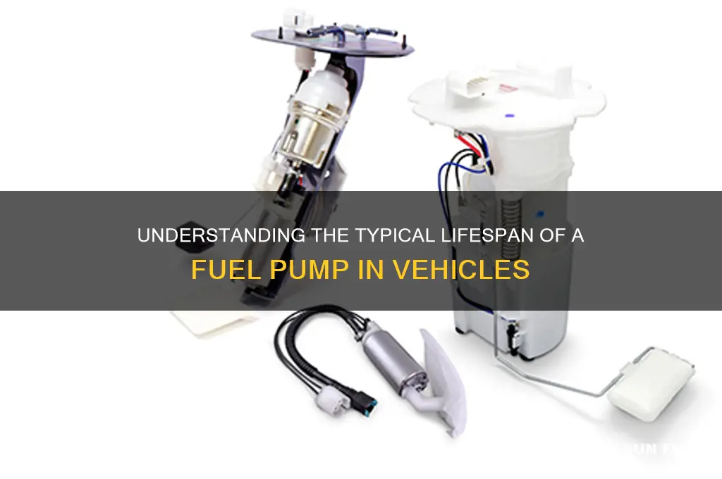 what is the average life of a fuel pump