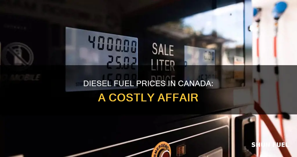 what is the average price of diesel fuel in canada