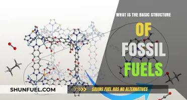 Understanding Fossil Fuels: Exploring Their Fundamental Composition and Structure