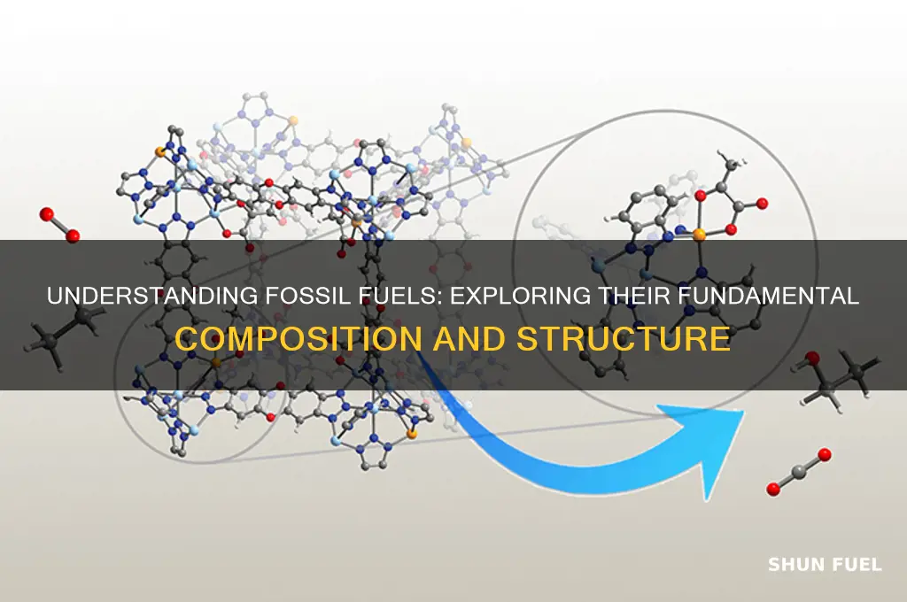 what is the basic structure of fossil fuels