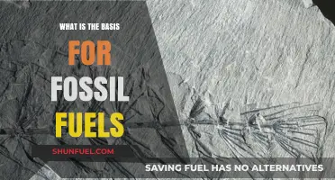 Understanding the Ancient Origins of Fossil Fuels: A Comprehensive Guide